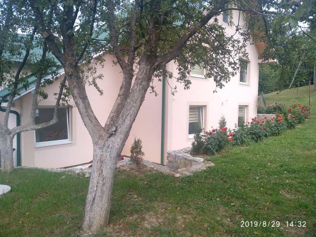 Apartments & Rooms Bojic 科拉欣 外观 照片